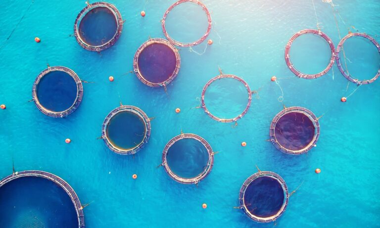 Aquaculture Systems Types Sustainable Solutions Siaa