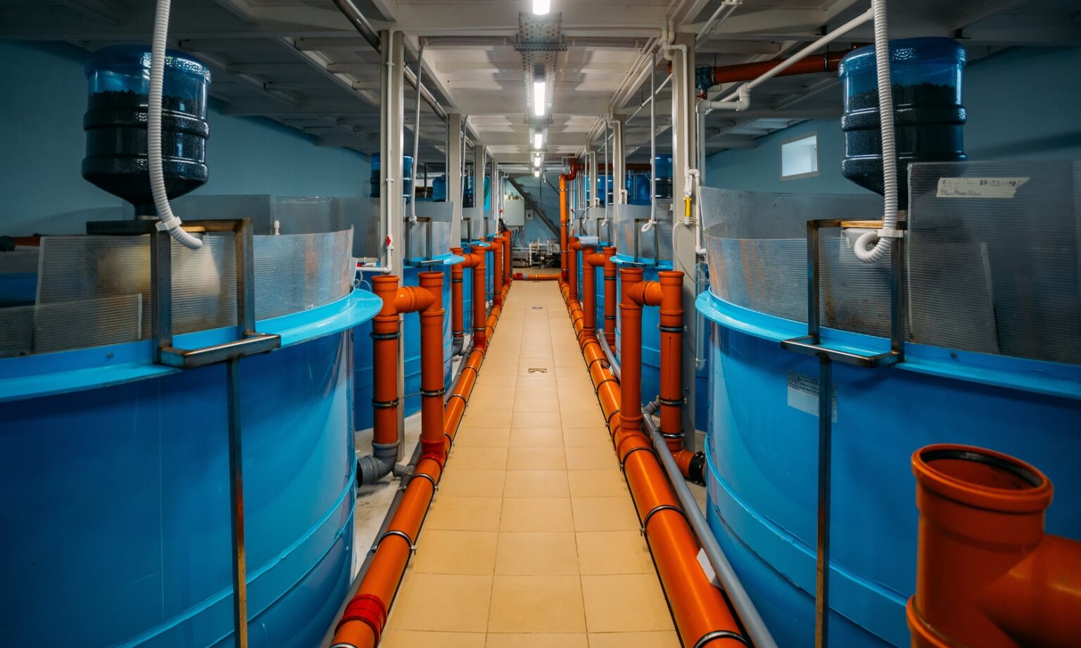 Aquaculture Systems Types Sustainable Solutions Siaa