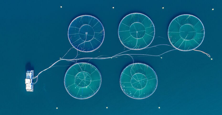 Aerial view of an integrated multi-trophic aquaculture operation in the ocean